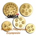 Pasta Machines Only Stainless Steel Body, with Electronic Cutter, Sleeve with Water Cooling Unit, Hopper and Fan TR110/S