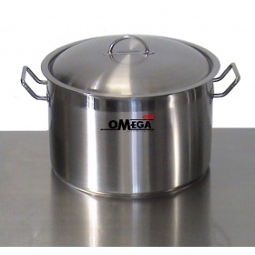 Stainless Steel Pot with Lid 95SS