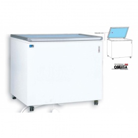 Hinged Glass Lid Display Chest Freezer FPV 500