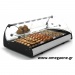 SPLENDID SAHARA Countertop Hot Food Display 